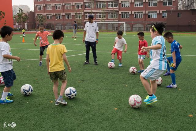 欧国联-托纳利破门 意大利1-0比利时晋级8强